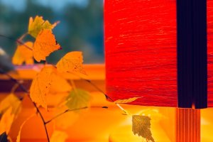 Candy Table lampa drewniana LampyLas 25