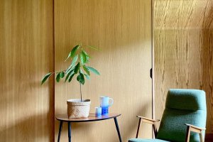 LampyLas Plafon Aztek aranżacja 8